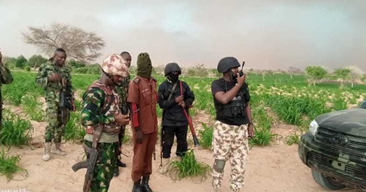 Troops kill scores of bandits, rescue kidnapped victims in Sokoto ...