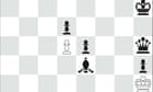 chess:-garry-kasparov-and-magnus-carlsen-meet-in-historic-encounter
