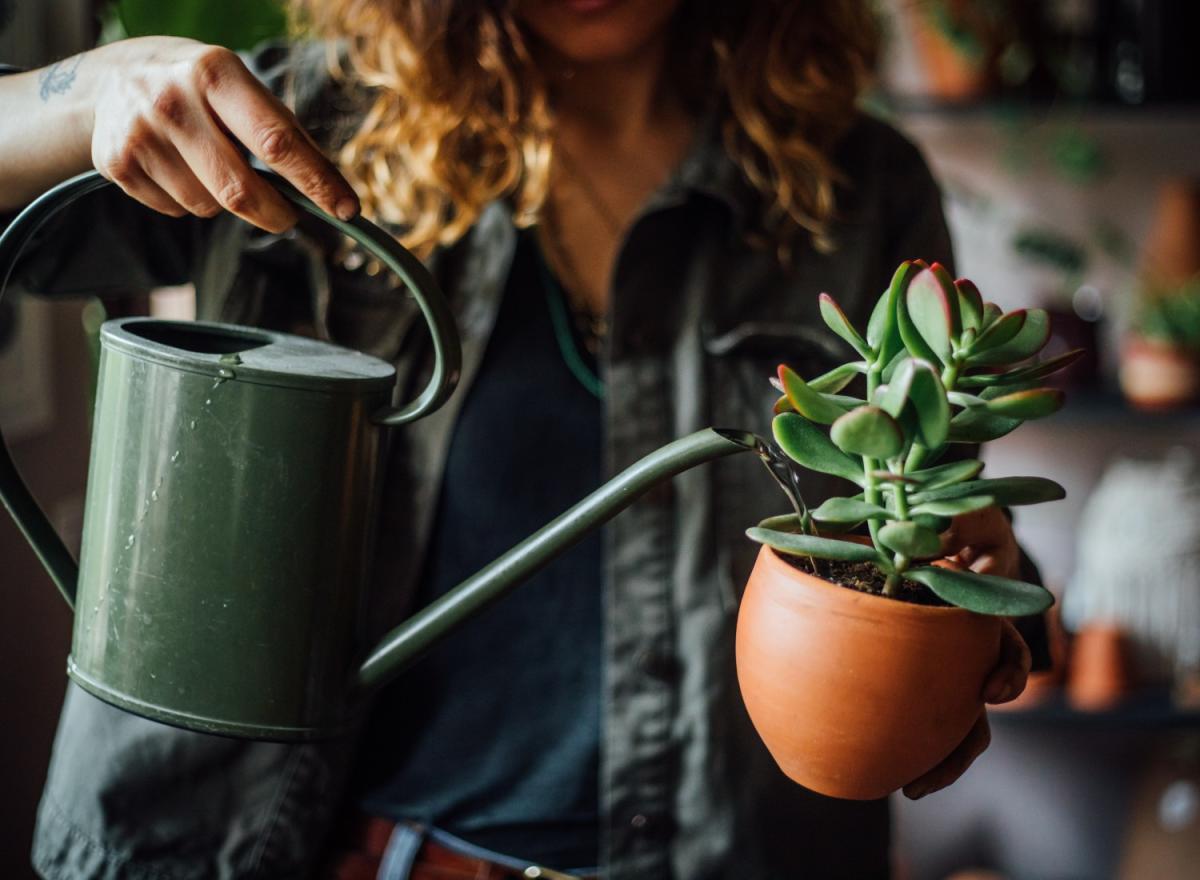 watering-cans-under-$30-for-every-kind-of-plant-lover